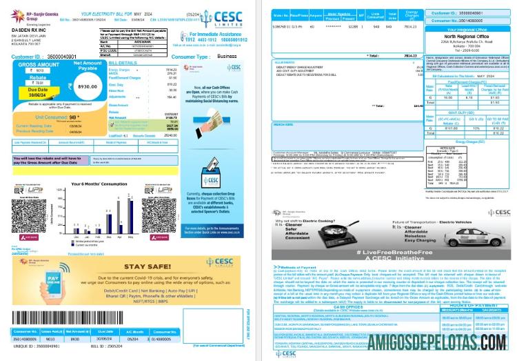 em branco INDIA CESC LIMITED Business Utility Bill Modelo Word e PDF, Versão 2 Páginas excluídas